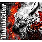 Schuldig  (Limited Picture LP) [Vinyl LP]