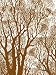 Trees Backgrounder Cling Mounted Red Rubber Stamp by Cornish Heritage Farms
