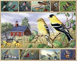 Songbirds 1000 pc Jigsaw Puzzle by White Mountain