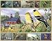 Songbirds 1000 pc Jigsaw Puzzle by White Mountain