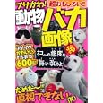 ブサかわ！動物バカ画像<br>晋遊舎<br>550円<br>ISBN:9784863911413