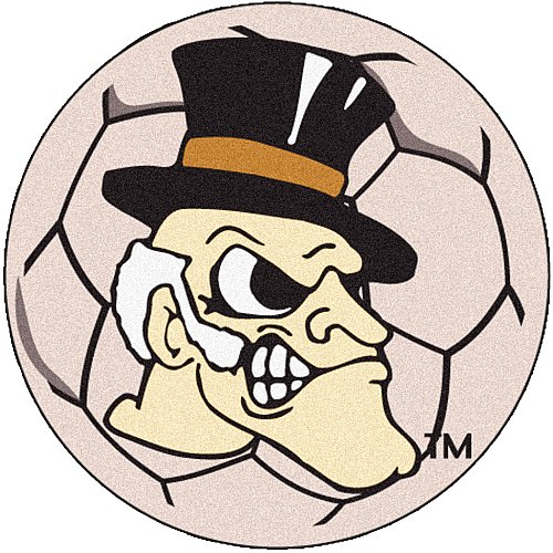 Fanmats Wake Forest Demon Deacons Soccer Ball-Shaped Mats Reviews