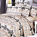 Blancho Bedding - [Beige Brown Classic] Luxury Bed In A Bag Combo 300GSM
