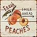 Barnyard Designs Retro Vintage Metal Tin Bar Sign, Decorative Wall Art Signage, Primitive Farmhouse Country Kitchen Home Décor (Peaches)