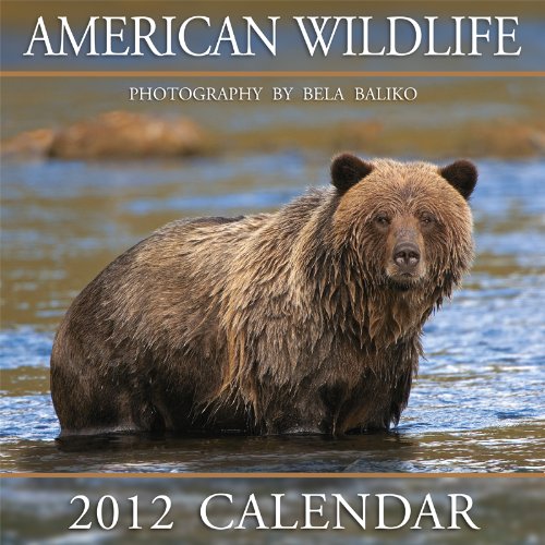 2012 American Wildlife Wall calendar