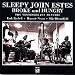 Sleepy John Estes-Broke and Hungry