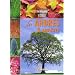 Encyclop�die visuelle des arbres et arbustes