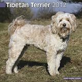 Tibetan Terrier 2012 Wall Calendar #10098-12