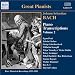 Piano Transcriptions Vol. 2