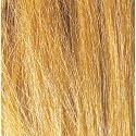 Field Grass, Harvest Gold