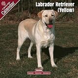 2009 Labrador Ret (Yellow) Wall Calendar