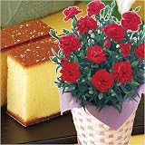 ���̓��M�t�g��J�[�l�[�V�����������܎O�ăJ�X�e���Z�b�g�y���͂���5��7���`10���z