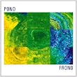 Frond