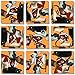 Scramble Squares Cat 9 Piece Challenging Puzzle - Ultimate Brain Teaser and Mind Game for Young and Senior Alike - Engaging and Creative with Beautiful Artwork - by B.Dazzle