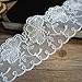 Vintage Embroidered Lace Edge Trim Ribbon Wedding Applique DIY Sewing Craft (A-10Yards, White)