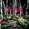 Enchanting folk and folk-metal