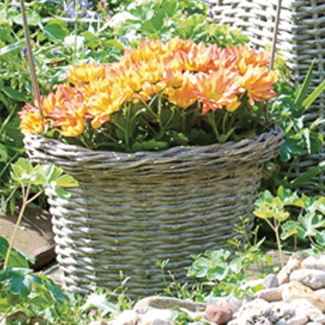 Siena Garden 731282 Weidenkorb mit Herzbogen &Oslash; 30x67cm
