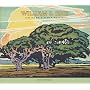 William S. Rice: California Block Prints