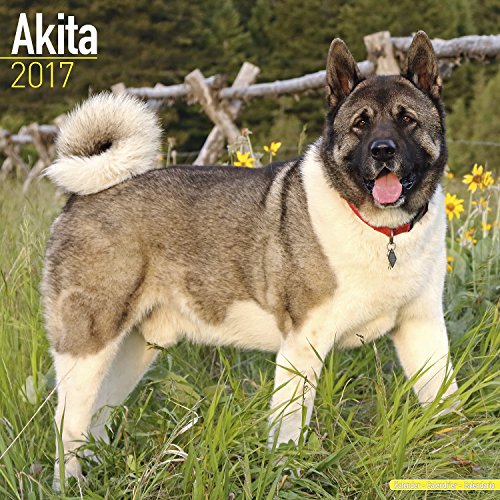 Akita Calendar - Dog Breed Calendars - 2016 - 2017 wall calendars - 16 Month by Avonside