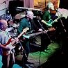 Image of Cowsills