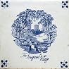 Image of album by The Imagined Village