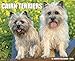 Just Cairn Terriers 2015 Wall Calendar