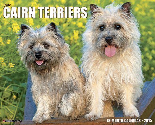 Just Cairn Terriers 2015 Wall Calendar