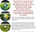 Book Massive Cash Flow Pack with Super Marketing, Success Principles and Inner Game for Homeopathic Supplements And Vitamins Web Biz 3 Course + Resource Gu