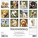 2016 Just Goldendoodles Wall Calendar