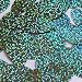 Oval Sequin 1.5