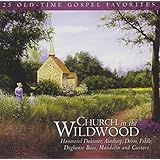 Church In The Wildwood