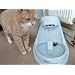 Cool Pet Gadgets