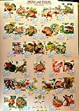 Frogs and Toads Reptiles 27x39 PosterIMAGE