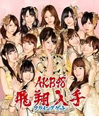 ��¿����ŵ���̿�̵���ۥե饤�󥰥��å�(Type-B)(���̿�1�����������)(�̾���)