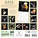 Bats 2017 Wall Calendar: Nature's Nocturnal Superheroes