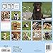 Puppies 2016 Calendar: Includes Downloadable Wallpaper
