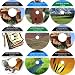 The In-Depth 9 CD No Money Down, Millionaire Making Real Estate Program