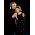 Vignette de Barbra Streisand