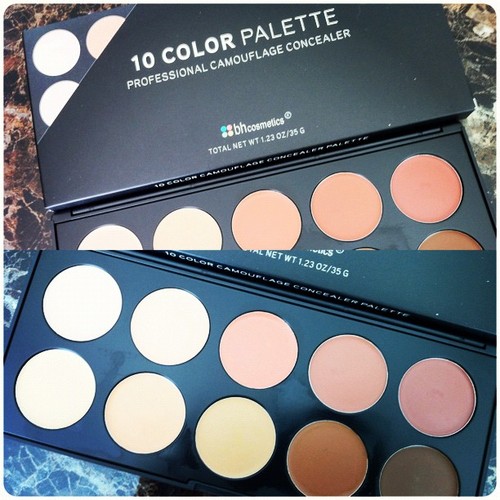BH Cosmetics 10 Color Camouflage and Concealer Palette
