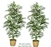 TWO 7' Artificial Areca Palm Trees, with No Pot,