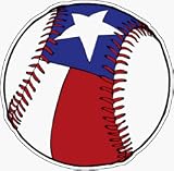 Texas Baseball Car Magnet