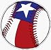 Texas Baseball Car Magnet
