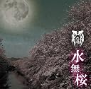 �������yB�^�C�v�z�y�������Ձz()