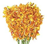 Fresh Flowers - Gold Mokara Orchids