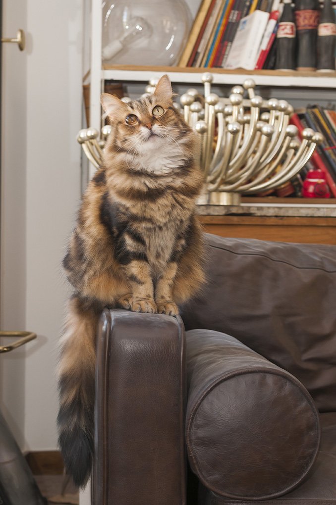 ����݂񂱂Ɠ��d����݂���������̂��@Part1625 	YouTube����>11�{ ->�摜>677�� 