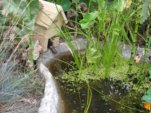 Childrens Toyshop  Outdoor Living : FROG & TOAD HOUSE