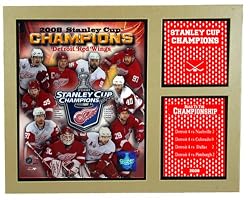 Detroit Red Wings World Champion 11" x 14" S Mat - Detroit Red Wings
