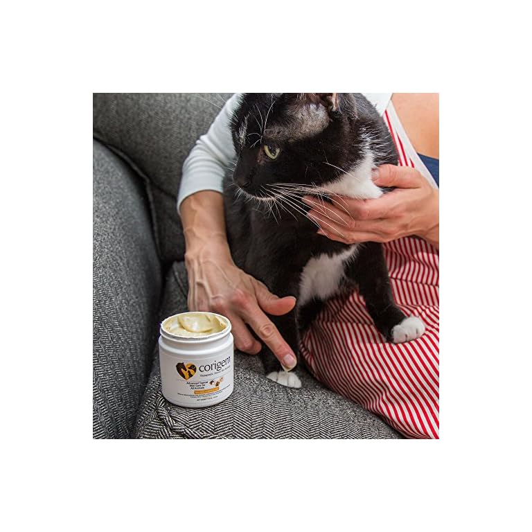 Corigem Balm Pet Wound, Itch, and Infection Skin Care Great Antiseptic & Antifungal Cream