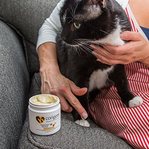 Corigem Balm Pet Wound, Itch, and Infection Skin Care Great