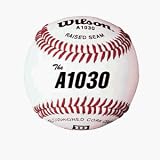 Wilson High School , Adult Practice and Youth League Play Baseball